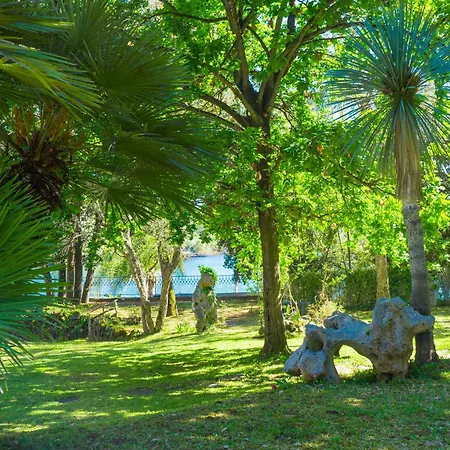 Baia D'oro サバウディア